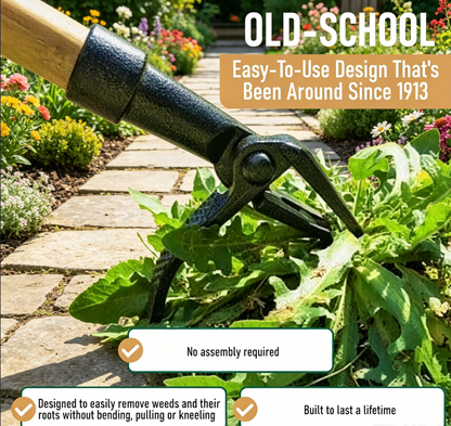 The Original Stand Up Weed Puller Tool with Long Handle - Made with Real Bamboo & 4-Claw Steel Head Design